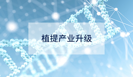 技術(shù)創(chuàng)新如何驅(qū)動(dòng)植提產(chǎn)業(yè)升級(jí)？